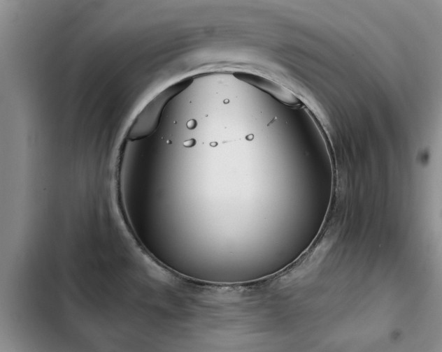 X0000102791533200808181247