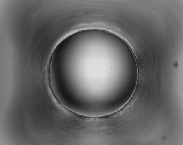 X0000102791534200808181247