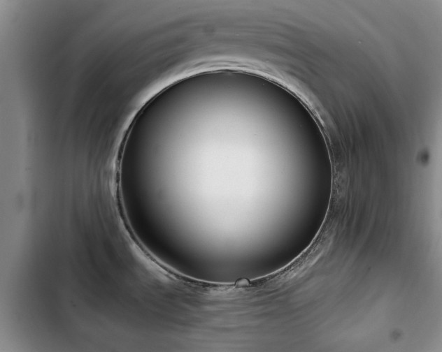 X0000102791535200808181247