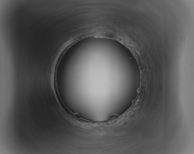 X0000102790003200808251038