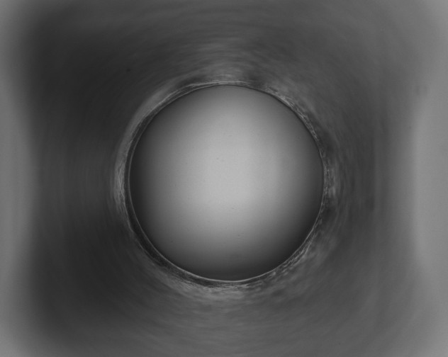 X0000102790004200808251038