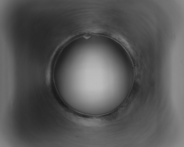 X0000102790012200808251038