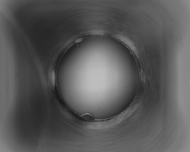 X0000102790013200808251038