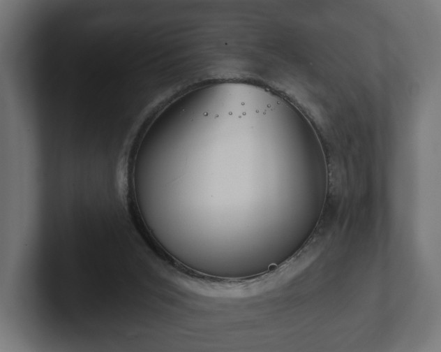 X0000102790015200808251038