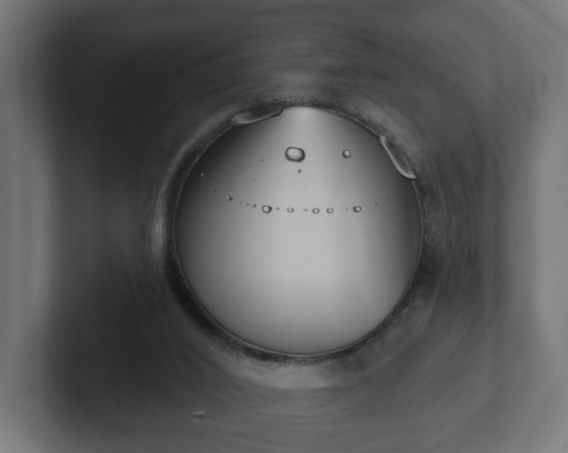 X0000102790016200808251038