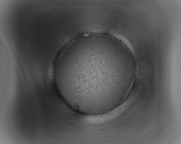 X0000102790017200808251038