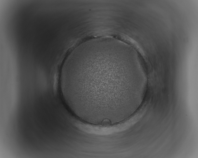 X0000102790018200808251038