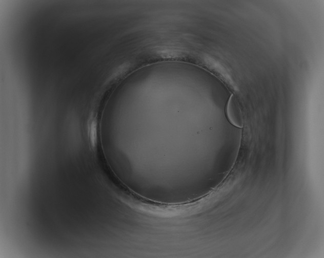 X0000102790019200808251038