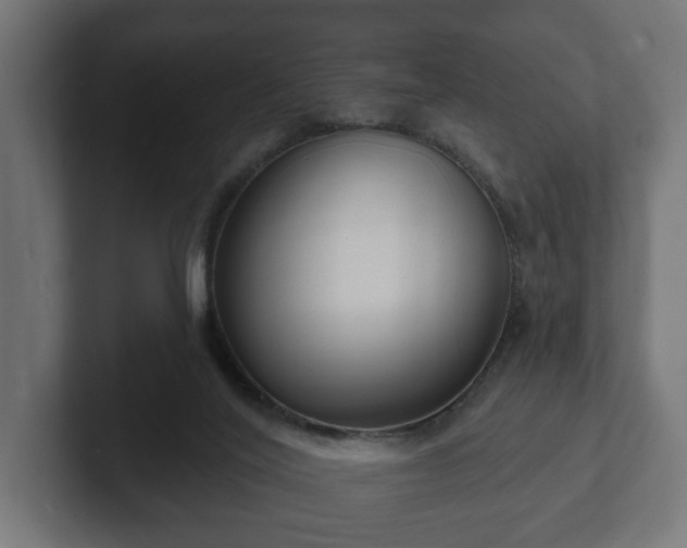 X0000102790020200808251038