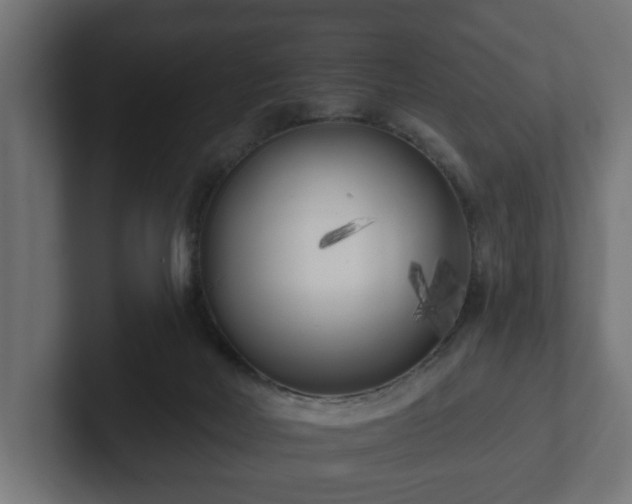 X0000102790026200808251038