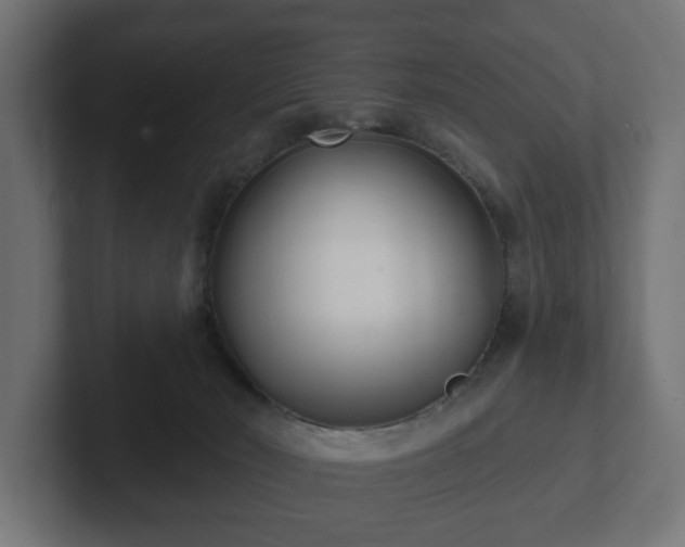 X0000102790030200808251038