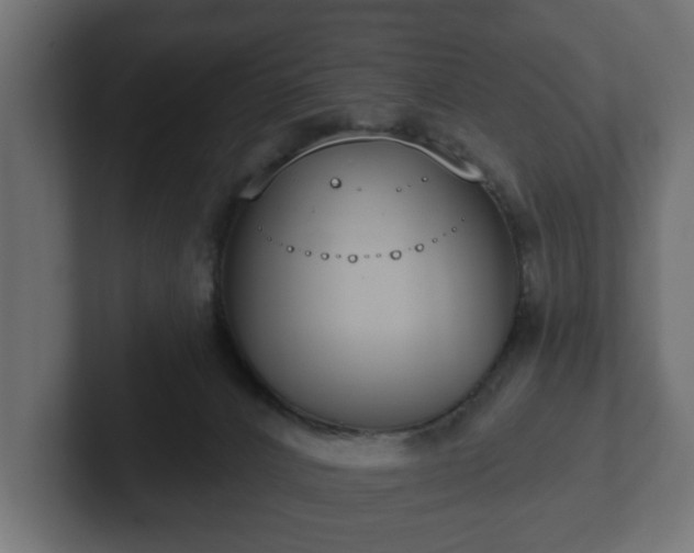 X0000102790032200808251038