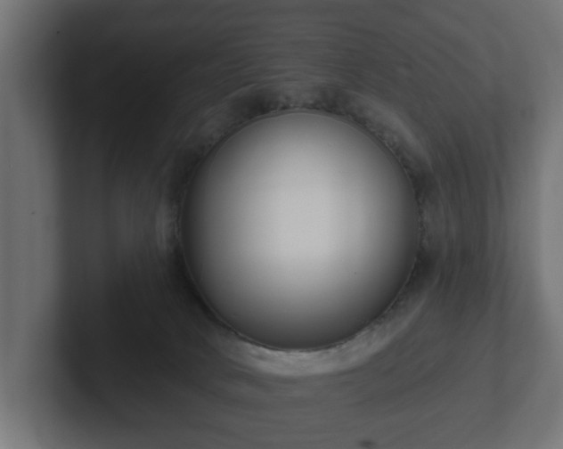 X0000102790034200808251038