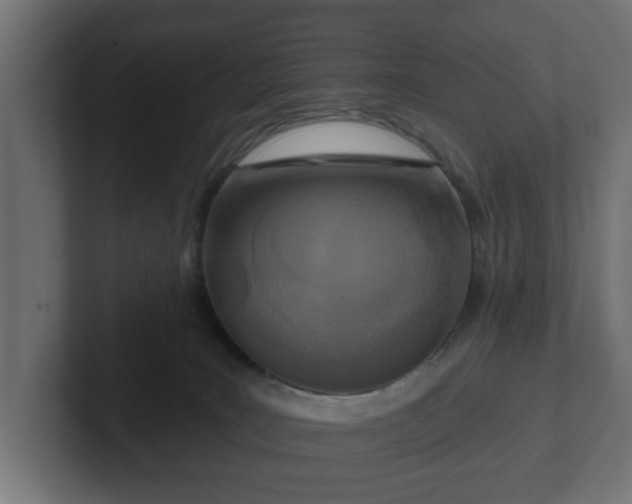 X0000102790035200808251038