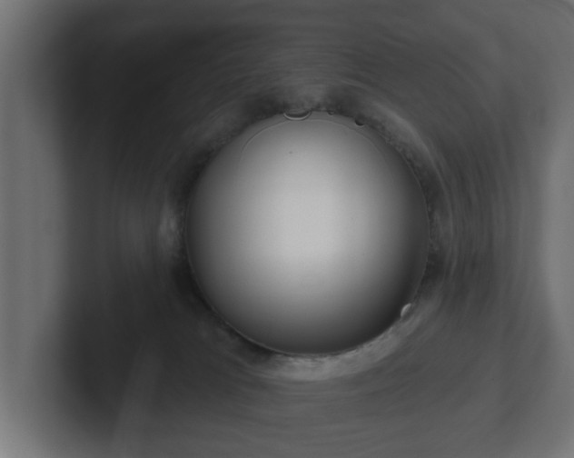 X0000102790037200808251038