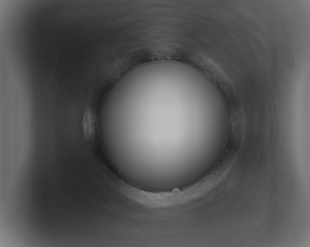 X0000102790038200808251038