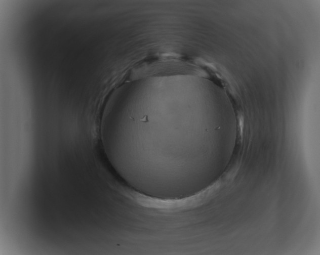 X0000102790039200808251037