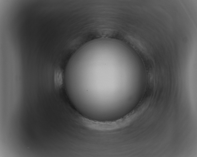 X0000102790042200808251037