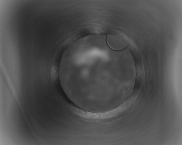 X0000102790043200808251037