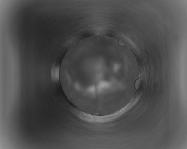 X0000102790047200808251037