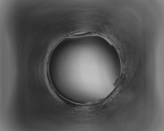 X0000102790049200808251037