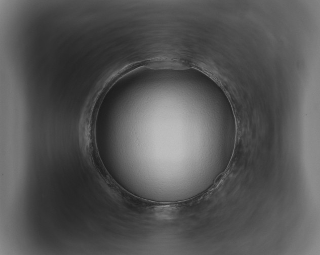 X0000102790050200808251037