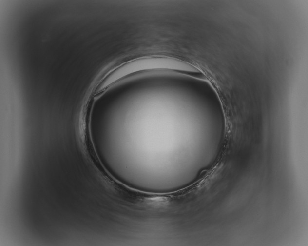 X0000102790053200808251037