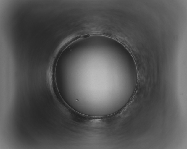 X0000102790054200808251037