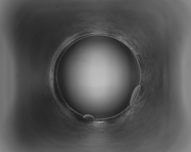 X0000102790055200808251037