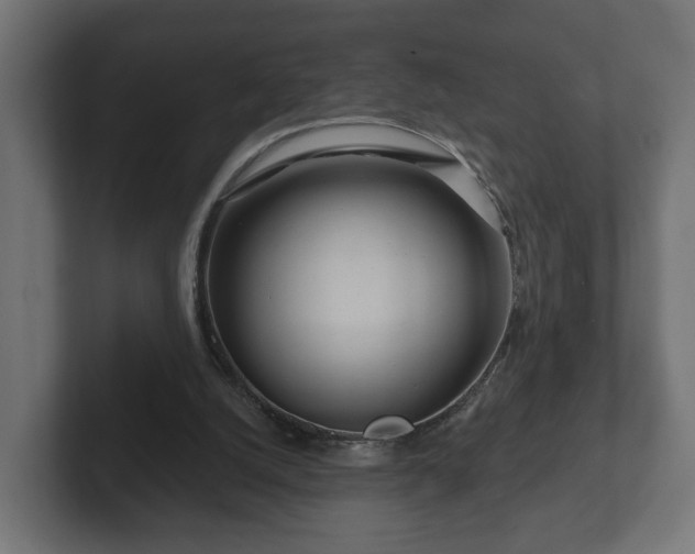 X0000102790056200808251037