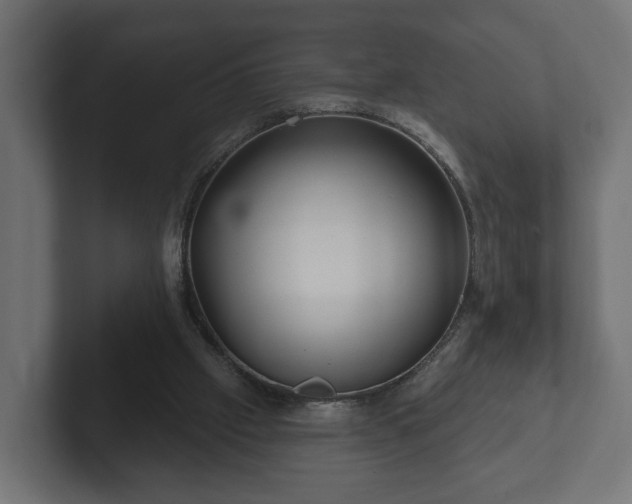 X0000102790057200808251037