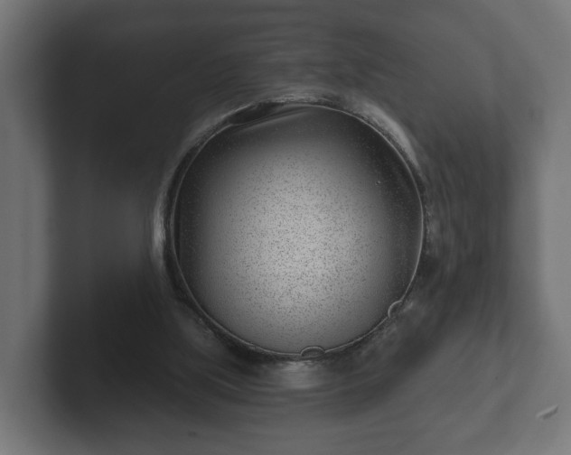 X0000102790059200808251037