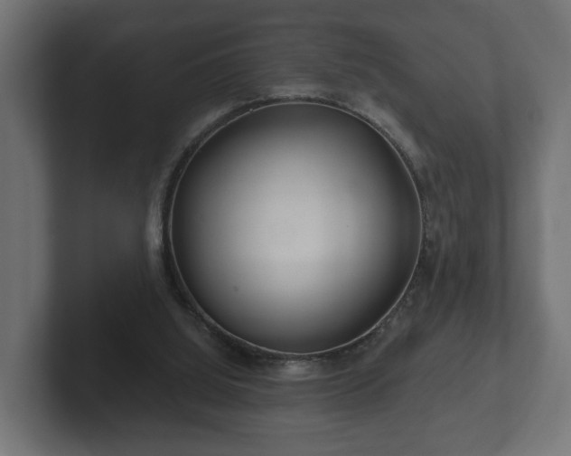 X0000102790060200808251037