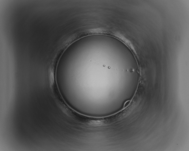 X0000102790061200808251037