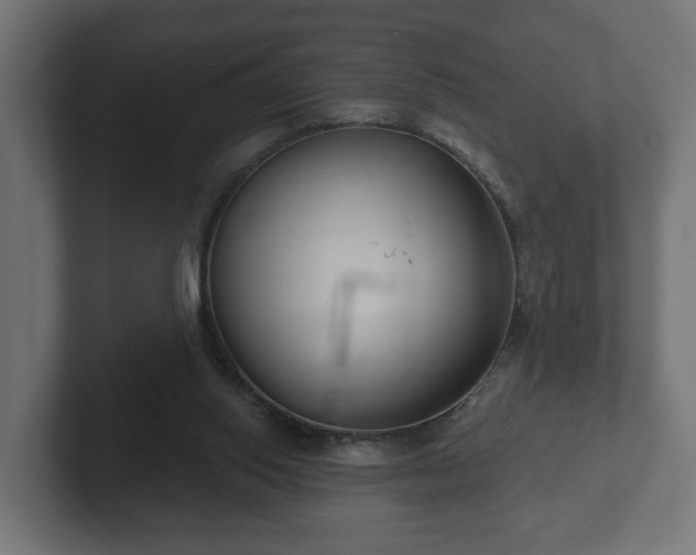 X0000102790062200808251037