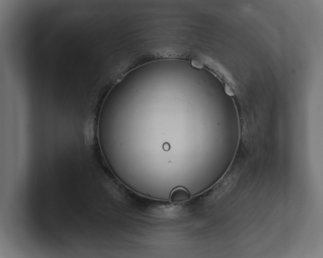 X0000102790065200808251037