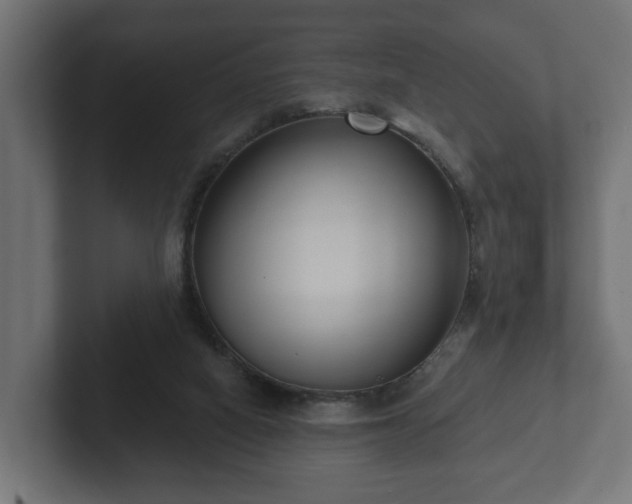 X0000102790066200808251037