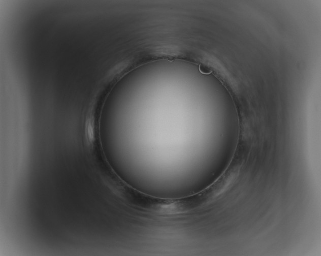 X0000102790068200808251037