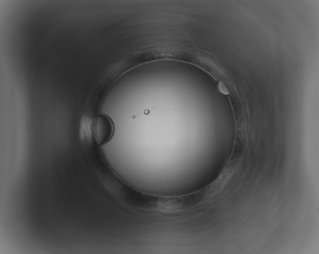 X0000102790070200808251037