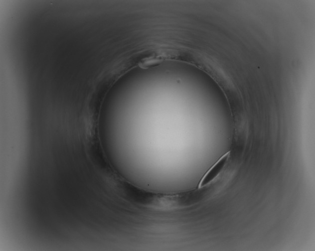 X0000102790078200808251037