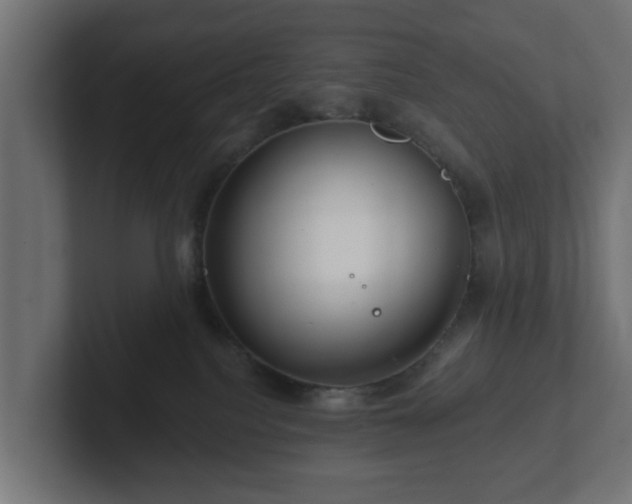 X0000102790088200808251037