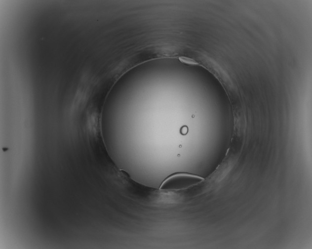 X0000102790093200808251037