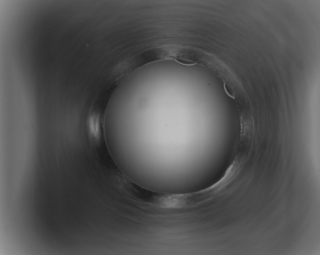 X0000102790094200808251037