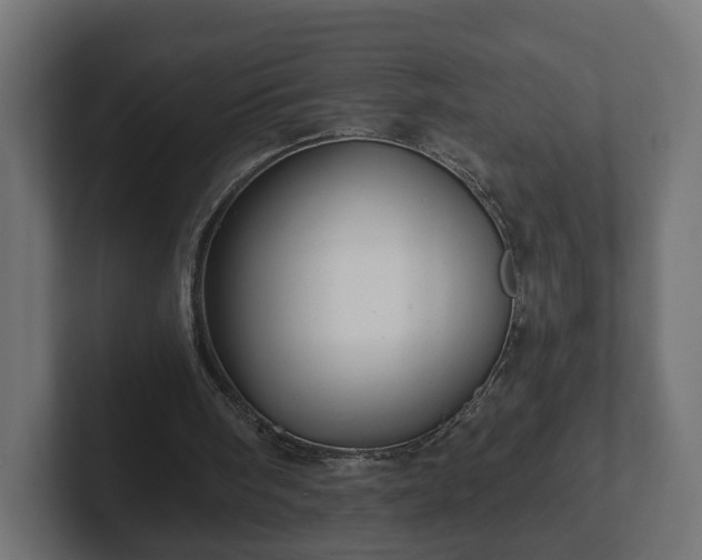 X0000102790098200808251037