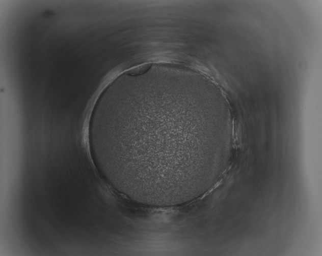 X0000102790099200808251037