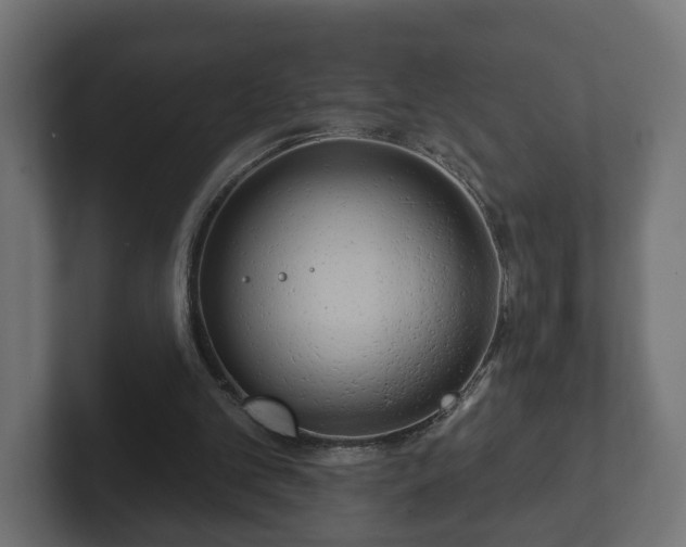 X0000102790101200808251037