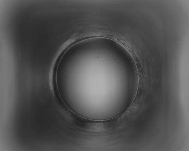 X0000102790104200808251037