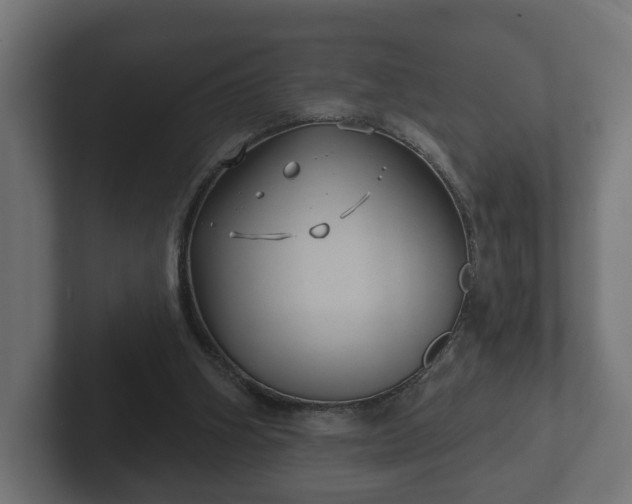 X0000102790106200808251037