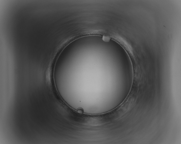 X0000102790107200808251037