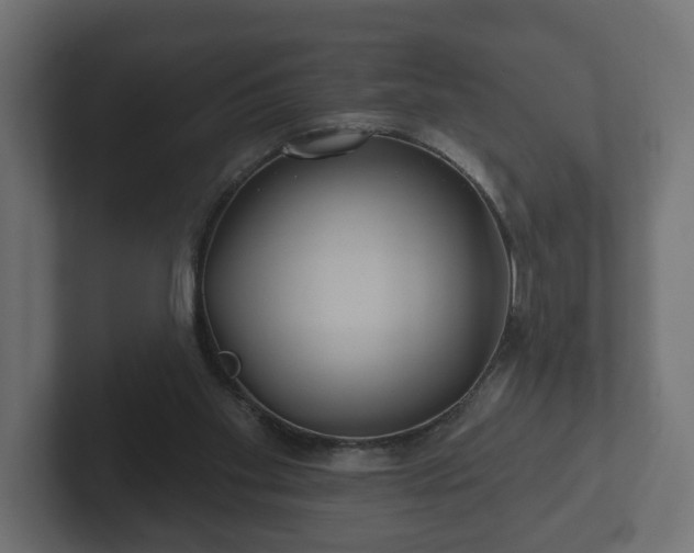 X0000102790109200808251037